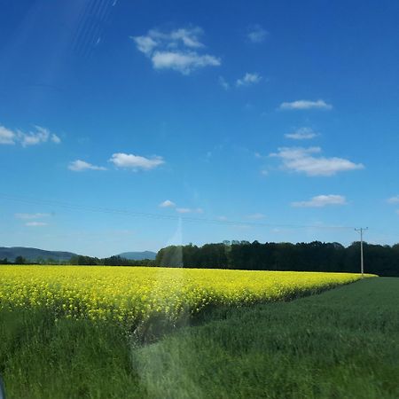 Agroturystyka "Jagap" Oaza Spokoju Dzierżoniów Exteriér fotografie