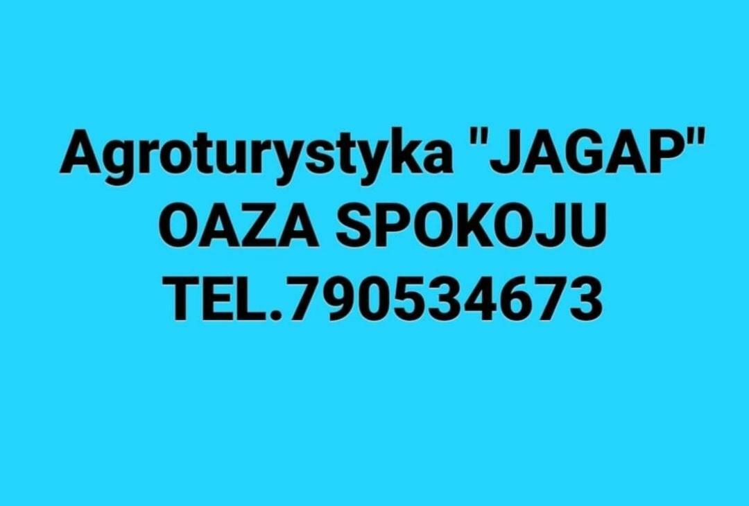 Agroturystyka "Jagap" Oaza Spokoju Dzierżoniów Exteriér fotografie