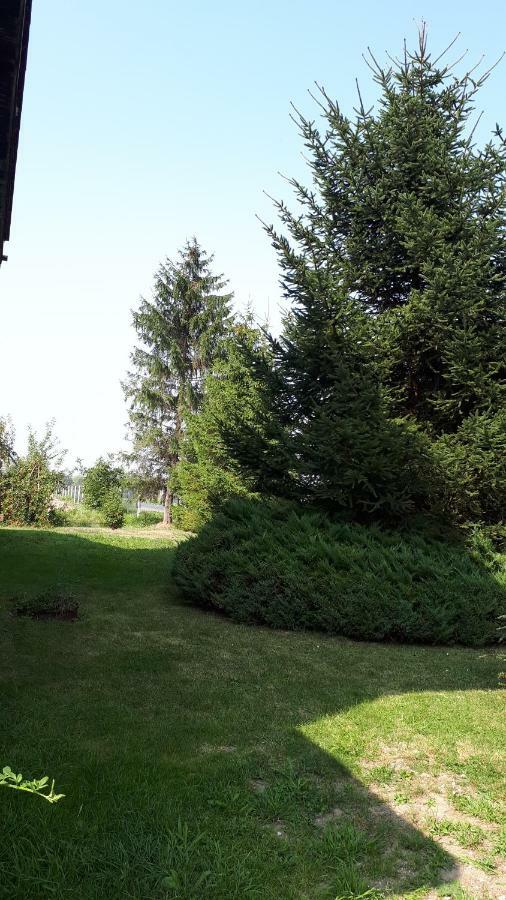 Agroturystyka "Jagap" Oaza Spokoju Dzierżoniów Exteriér fotografie