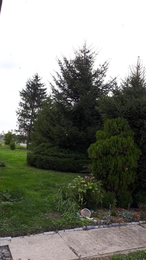 Agroturystyka "Jagap" Oaza Spokoju Dzierżoniów Exteriér fotografie